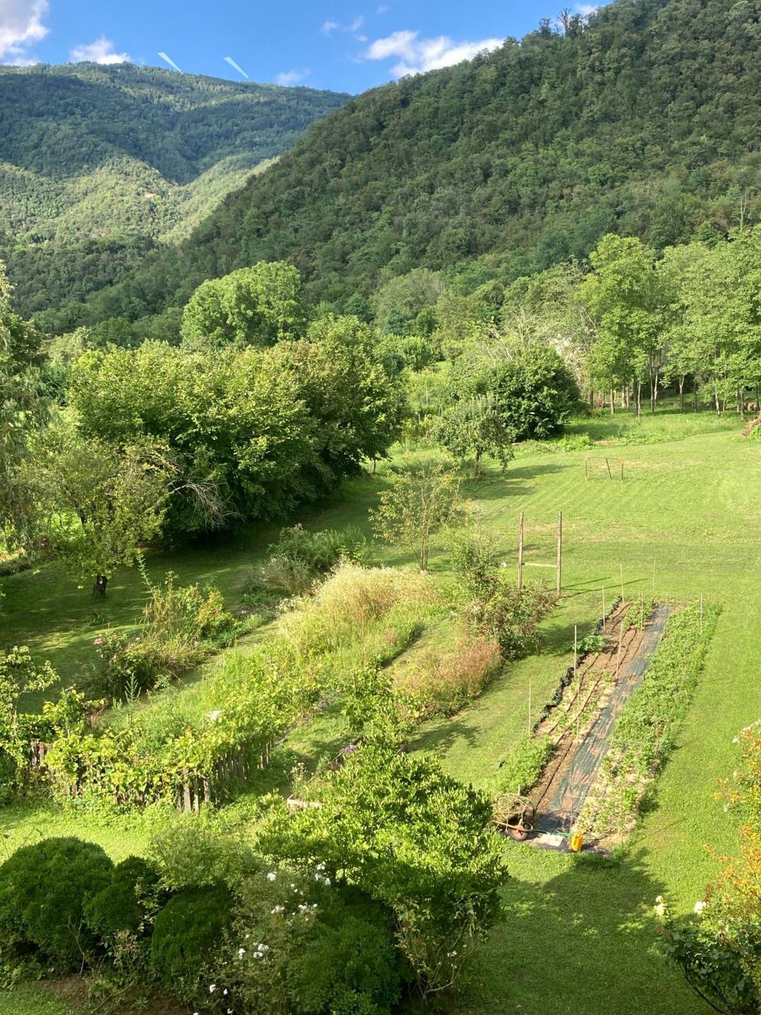 Casa Del Grivo - Alloggio Sole Faedis المظهر الخارجي الصورة